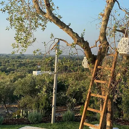Tenuta Lamia Degli Ulivi - Puglia - Ancient Lamia And Modern *
