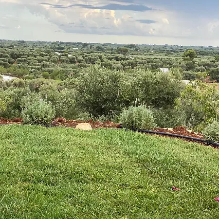 Tenuta Lamia Degli Ulivi - Puglia - Ancient Lamia And Modern Villa Ostuni